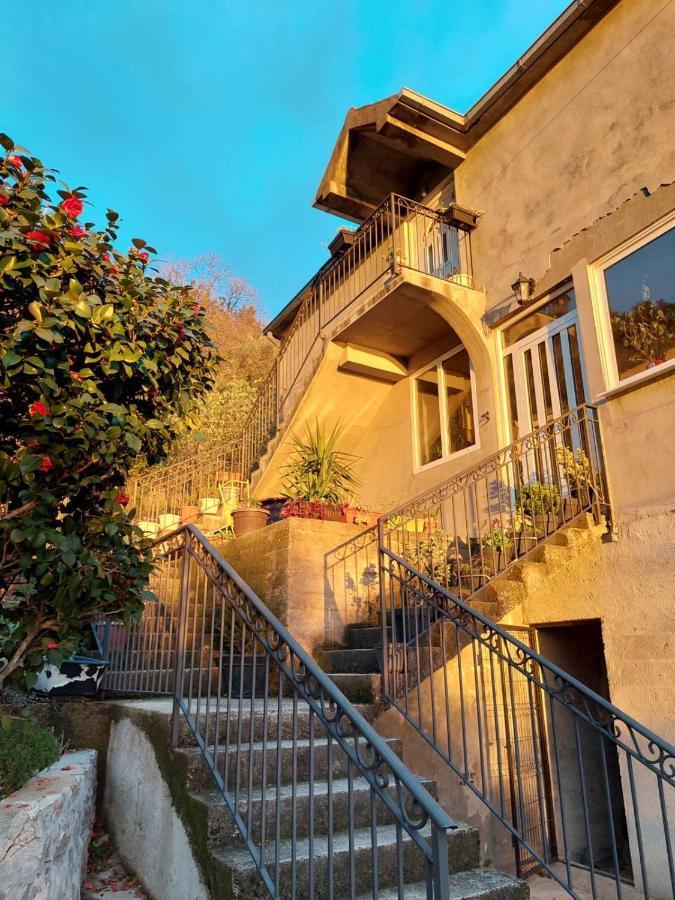 Guest House Pocanic 티바트 외부 사진