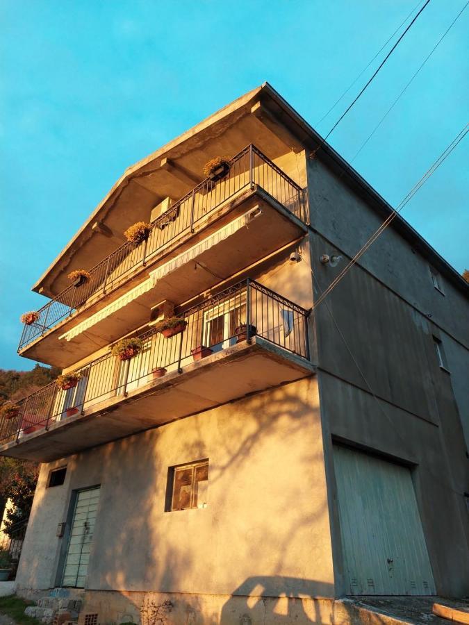 Guest House Pocanic 티바트 외부 사진