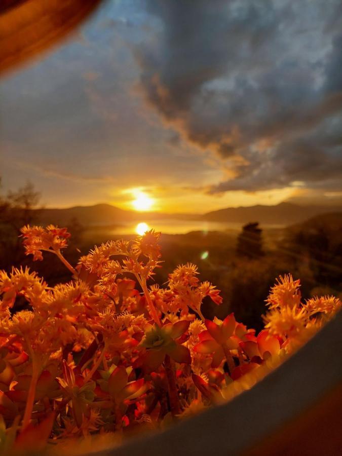 Guest House Pocanic 티바트 외부 사진